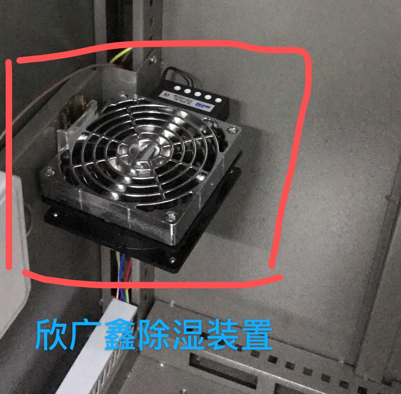 1624352761136288.jpg 1624352761136288.jpg